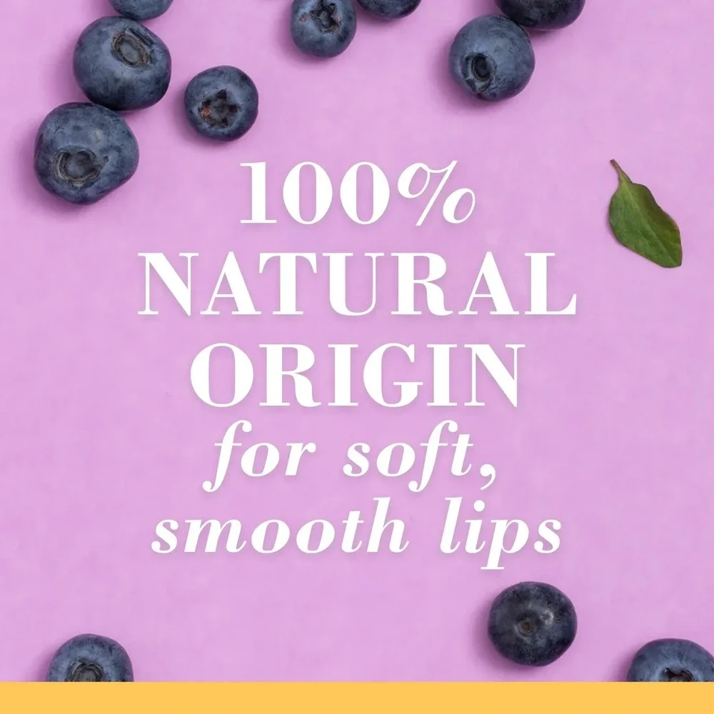 Burt's Bees Squeezy Tinted Lip Balm Berry Sorbet Beeswax Moisturizing NEW